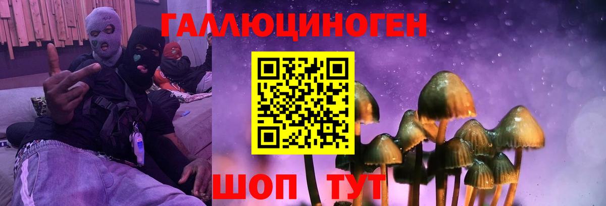 Галлюциногенные грибы GOLDEN TEACHER  Галлюциногенные грибы Psilocybe  Вход с VPN  Мичуринск 